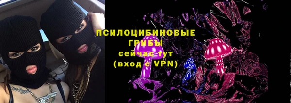 твердый Киреевск