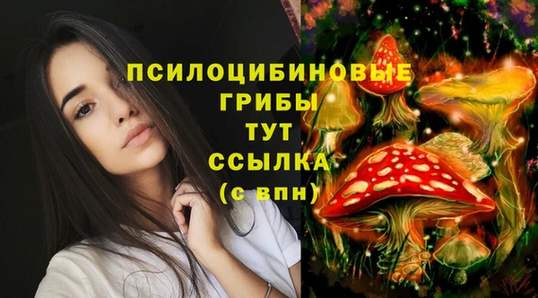 2c-b Кинешма