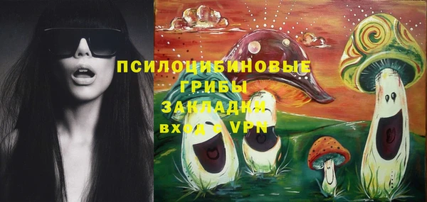 твердый Киреевск