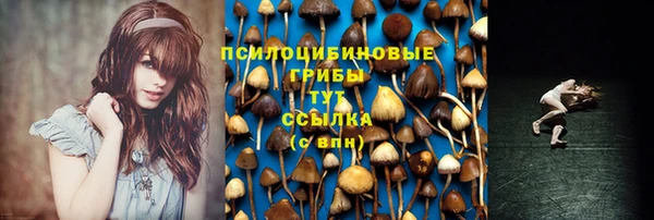 твердый Киреевск