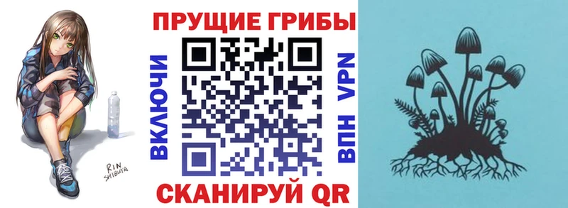 Галлюциногенные грибы Psilocybe  Тбилисская 